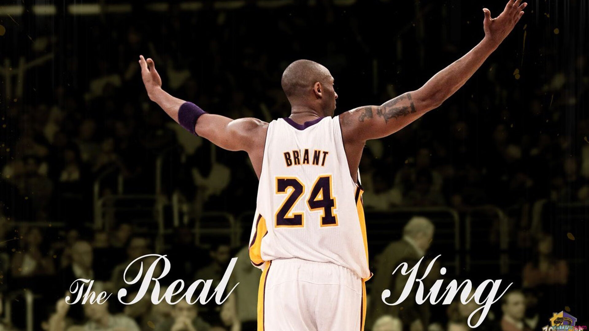 “阿根廷美洲狮队用实力证明了自身的世界级地位”