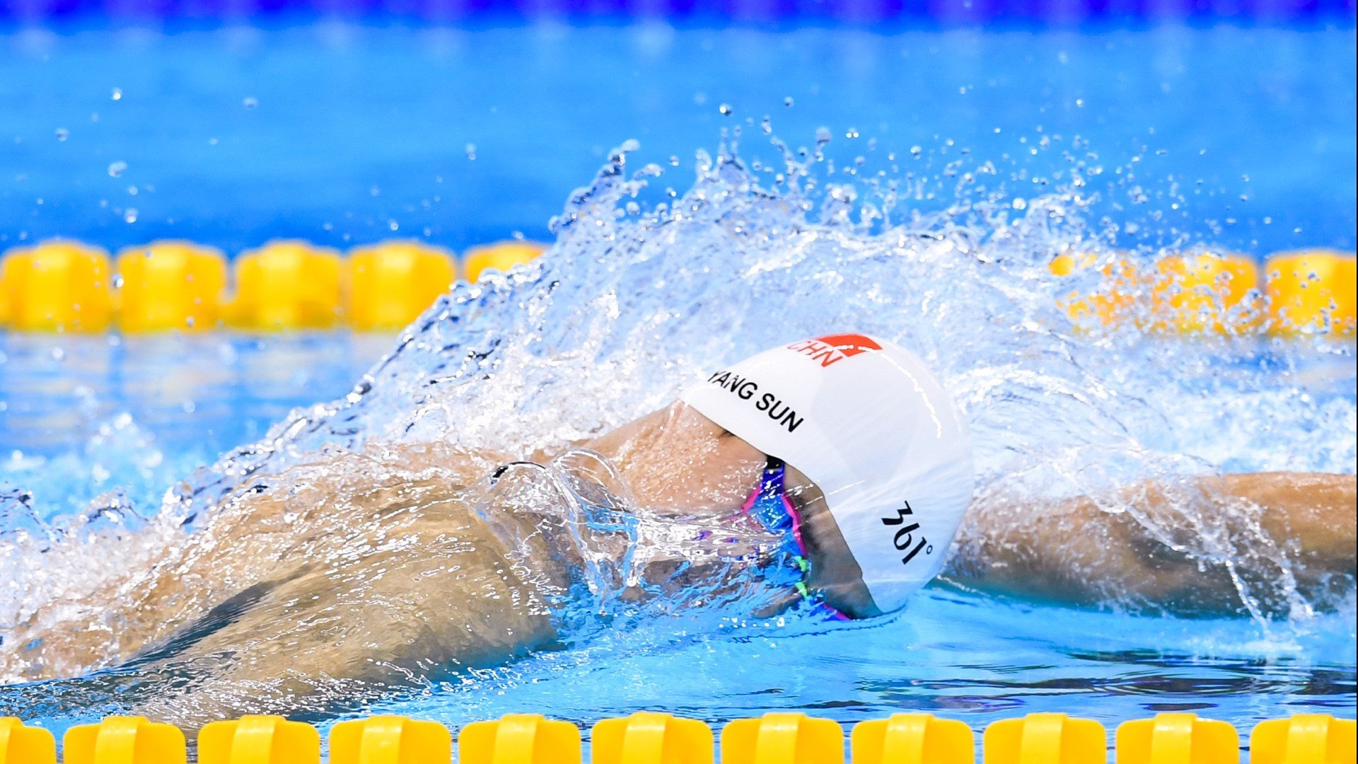 “丝路电商日”多国共议，数字共建未来图景